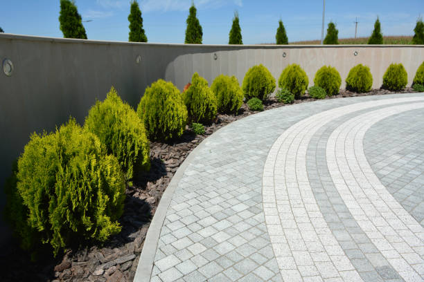 Best Concrete Paver Driveway  in University, MS